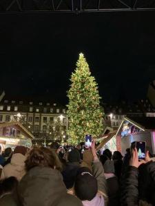 Foto dalla galleria di Cosy F2 Schiltigheim Wacken a Schiltigheim Altre 13 foto