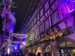 Foto dalla galleria di Cosy F2 Schiltigheim Wacken a Schiltigheim