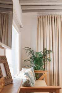 Posezení v ubytování Birdhouse Private Luxury Suite