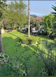 um jardim com uma palmeira, mesas e guarda-sóis em Niki Thalia Corfu Viros Apartment 1 em Kastanéa