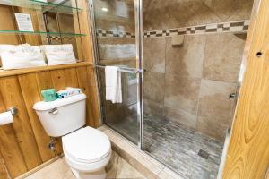een badkamer met een toilet en een douche bij Gentle Whispers Oceanfront King Room 6th Fl in Pawleys Island