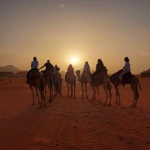 a group of people riding horses in the desert at RUM HiLTON lUXURY CAMP in Wadi Rum