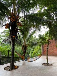 a hammock between two palm trees in a courtyard at HOSTAL LOS NOGALES in Aguaytía