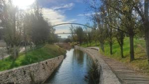 Blick auf einen Fluss mit einer Brücke im Hintergrund in der Unterkunft Non Stress Turia in Valencia