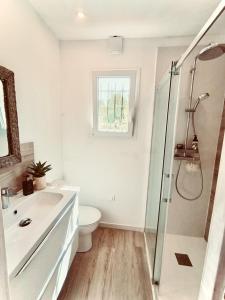 La salle de bains est pourvue de toilettes, d'un lavabo et d'une douche. dans l'établissement Maisonnette avec 2 chambres climatisée en face de la plage de Gigaro, à La Croix-Valmer
