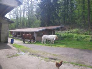 two horses and a chicken standing in front of a building at wagons dortoir in Chaudenay +3 photos