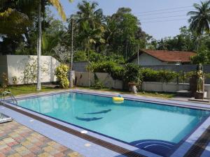 a swimming pool at a house with a shark in the water at Caro Villa in Induruwa