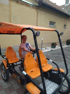 Hosté ubytování Elza Apartman