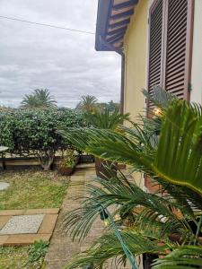 a garden with plants in front of a house at Il Gelsomino in Foligno