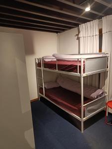 Cette chambre dispose de lits superposés et de 2 lits superposés. dans l'établissement Viktoria HOSTEL, à Anvers