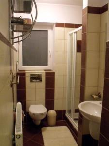 un piccolo bagno con servizi igienici e lavandino di Apartamenty- Mieszkania Wakacyjne a Czarna Góra