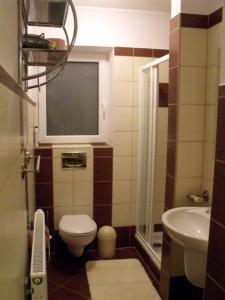 a small bathroom with a toilet and a sink at Apartamenty- Mieszkania Wakacyjne in Czarna Góra