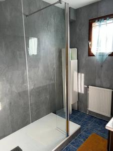 ein Bad mit einer Dusche und einer Glastür in der Unterkunft Appartement Cambita in Montévrain