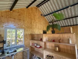 a kitchen with wooden shelves and a potted plant at Bonita cabaña estilo glamping in Juayúa