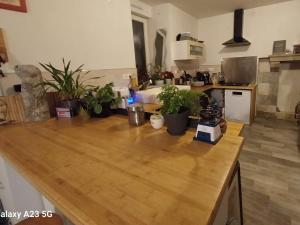 eine Küche mit einer Holztheke mit Topfpflanzen darauf in der Unterkunft Manoir de kerozet - Chambres chez l'habitant in Plouider