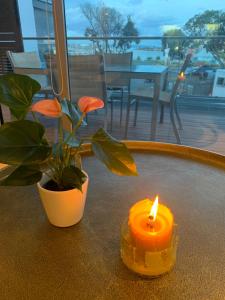 una candela seduta su un tavolo accanto a una pianta in vaso di Location, location, location! a Napier