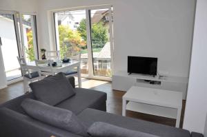 a living room with a couch and a tv at Apartments Trnovo in Ljubljana