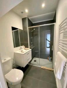 a bathroom with a toilet and a shower and a sink at Maison de ville in Bouguenais
