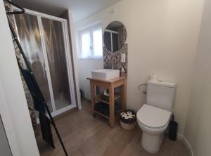 uma casa de banho com um WC e um espelho. em Les meublés de Louis-Marie, 2 appartements, 8 à 10 personnes, proche du Puy du Fou em Saint-Amand-sur-Sèvre