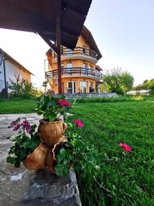a flower pot with flowers in front of a building at Casa Tamara in Bran