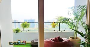 a room with a window with potted plants at Ghumloo/com - Super Deluxe Stay at Finest Mall Gaur City (Bar, Club, Rajhansh Cinemas, Food Court, SuperMart etc..) in Ghaziabad