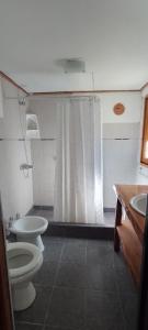 y baño con aseo y lavamanos. en Chacra Kaiken Lodge en Perito Moreno