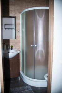 シビウにあるStudio Sonia - Tordosan Central - #1のシャワーと洗面台付きのバスルーム +6枚の写真