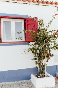 ein Fenster und ein Baum vor einem Haus in der Unterkunft Casa Vó Briata in Mértola