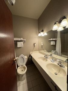 a bathroom with a toilet and a sink and a mirror at Clock Tower Inn in Berne +21 photos