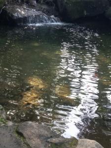 um corpo de água com uma cascata em Carvalho de Muriqui em Mangaratiba