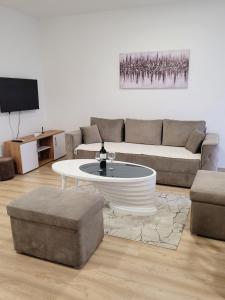 a living room with a couch and a coffee table at Apartman Lukić in Banja Koviljača