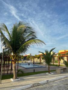 a group of palm trees in front of a pool at Casa de praia Luís Correia in Luis Correia