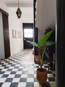 un corridoio con pavimento a scacchi in bianco e nero e una pianta di Dar Gara a Tangeri