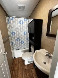 a bathroom with a toilet and a sink and a shower at Falcon Cottages in Niagara on the Lake