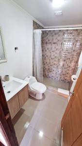 a white bathroom with a toilet and a sink at Hostal Vicmar in Viña del Mar