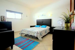 阿爾布費拉的住宿－Appartement avec piscine - Albufeira，一间卧室配有一张带蓝色枕头的床。