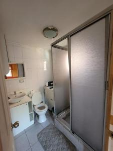 a bathroom with a shower and a toilet and a sink at Casa acogedora in Valdivia