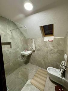 a bathroom with a shower and a toilet and a sink at Villa Noari, Brezovice. in Brezovica