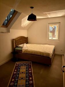 a bedroom with a bed and a window and a rug at Villa Noari, Brezovice. in Brezovica
