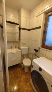 a small bathroom with a toilet and a washing machine at The ARK Eco Homestay in Esch-sur-Alzette