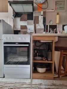 a kitchen with a stove and a sink at Terrace Roof Room @ Koridallos Metro St. & Piraeus Port in Piraeus