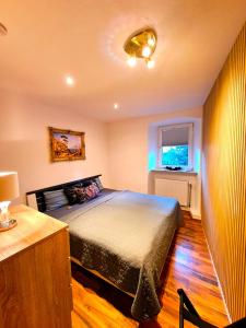 a bedroom with a bed and a window at Apartamento Albertina in Kleinheubach