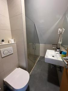 Ένα μπάνιο στο Vučko apartmani Konaci +22 φωτογραφίες