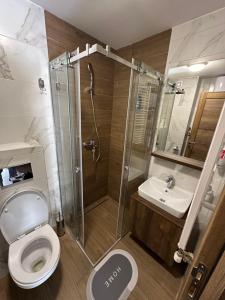un bagno con doccia, WC e lavandino di Borovi 3, apartman 4 a Divčibare