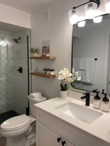 ein Badezimmer mit einem Waschbecken, einem WC und einem Spiegel in der Unterkunft Private, cozy, suite by Mile High Stadium and Downtown Denver! in Denver