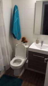 uma casa de banho com um WC branco e um lavatório. em Espectacular departamento Ñuñoa em Santiago