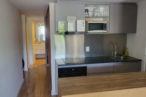 Hermoso apartamento en pocitos في مونتيفيديو: مطبخ مع حوض وميكروويف