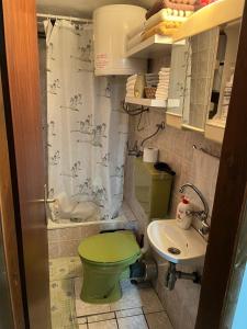 ein Badezimmer mit grünem WC und Waschbecken in der Unterkunft Apartman Delfin in Grahovište