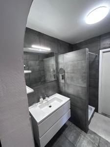 a bathroom with a white sink and a shower at Loft Exclusif 100m2 in Grimbergen