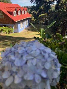 uma flor azul em frente a uma casa com um telhado vermelho em La Cabaña: Descanso y Naturaleza em Cartago